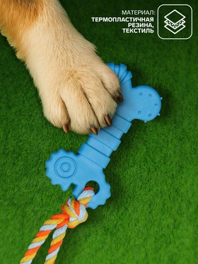Игрушка жевательная с канатом «Кость с хвостом», синяя (комплект 2 шт)