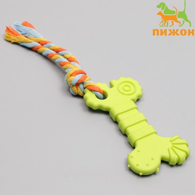 Игрушка жевательная с канатом «Кость с хвостом», зелёная
