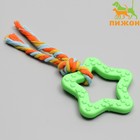 Игрушка жевательная с канатом «Звезда с хвостом», зелёная - Фото 1