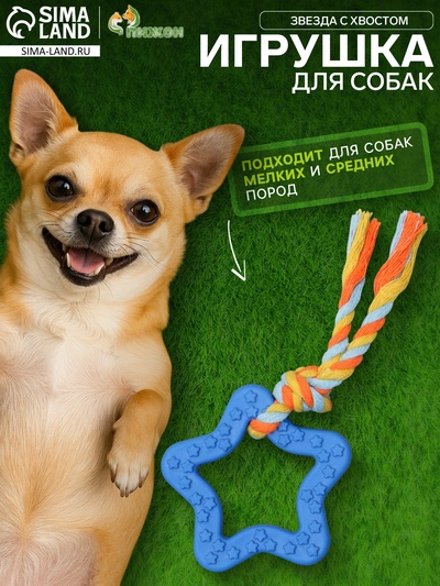 Игрушка жевательная с канатом «Звезда с хвостом», синяя