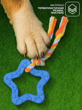 Игрушка жевательная с канатом «Звезда с хвостом», синяя