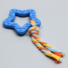 Игрушка жевательная с канатом «Звезда с хвостом», синяя 7159789