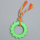 Игрушка жевательная с канатом «Кольцо с хвостом», зелёная - Фото 2