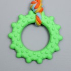 Игрушка жевательная с канатом "Кольцо с хвостом", зелёная - фото 7024953