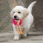 Игрушка жевательная с канатом "Гиря", розовая - Фото 5