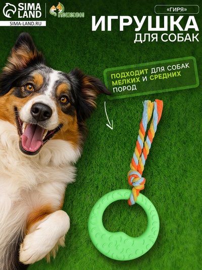 Игрушка жевательная с канатом «Гиря», зелёная