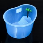 Отсадник для черепах «Лагуна» с пальмой, 26×20×13 см - Фото 1