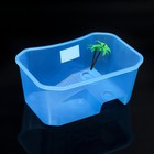 Отсадник для черепах, 25×17×11 см - Фото 1