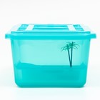 Отсадник для черепах «Озеро» с крышкой, 33×23.5×14 см - Фото 2