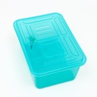 Отсадник для черепах «Озеро» с крышкой, 33×23.5×14 см - Фото 4