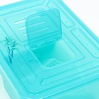 Отсадник для черепах «Озеро» с крышкой, 33×23.5×14 см - Фото 5