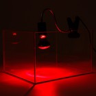 Светильник для террариума, с переключателем освещения - Фото 3