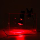 Светильник для террариума, со встроенным ручным регулятором яркости - Фото 3