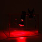 Светильник для террариума, со встроенным ручным регулятором яркости и переключателем света - Фото 3