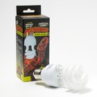 Лампа для террариума UVB 10.0 NomoyPet, 13 Вт, цоколь Е27 - фото 5143198