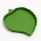 Кормушка для террариума, 12×9.5×1.35 см - Фото 1