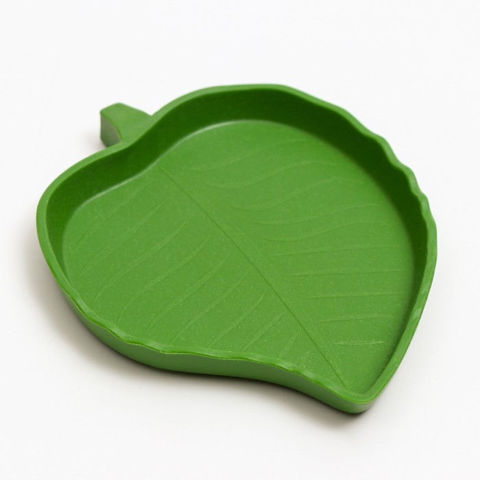 Кормушка для террариума, 12×9.5×1.35 см - Фото 1