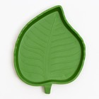 Кормушка для террариума, 12×9.5×1.35 см - Фото 2