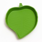 Кормушка для террариума, 15.4×12.4×1.8 см, зелёный - Фото 2