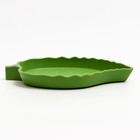 Кормушка для террариума, 15.4×12.4×1.8 см, зелёный - Фото 3