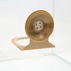Кормушка NomoyPet для террариума на присосках, 7,5 х 11 см - Фото 2
