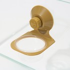 Кормушка NomoyPet для террариума на присосках, 7,5 х 11 см - Фото 3