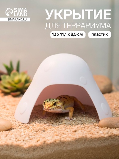 Укрытие для террариума, 13×11.1×8.5 см, пластик