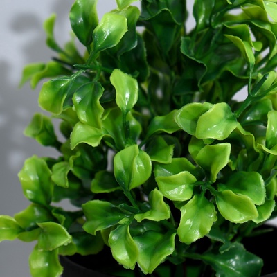 Искусственный цветок в горшке «Крупнолист», h=19 см