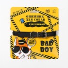 Ошейник для собак «Bad boy» с адресником, ОШ 27-34 см - фото 318745711