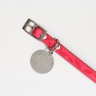 Ошейник с подвесом Made with love 31x1 см, розовый - фото 24116639