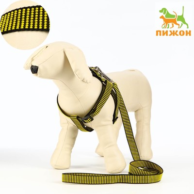 Комплект амуниции рельефный, поводок 120×2 см, ОГ 44-50 см, жёлто-чёрный