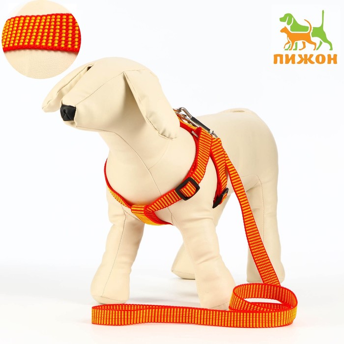 Шлейка с поводком, ширина 2 см, поводок 120 см, рельефная, оранжевая - Фото 1