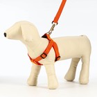 Шлейка с поводком, ширина 2 см, поводок 120 см, рельефная, оранжевая - Фото 3