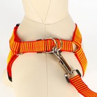 Шлейка с поводком, ширина 2 см, поводок 120 см, рельефная, оранжевая - Фото 4