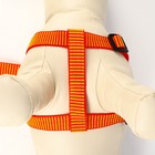 Шлейка с поводком, ширина 2 см, поводок 120 см, рельефная, оранжевая - Фото 5