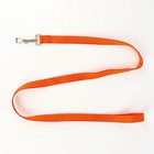 Шлейка с поводком, ширина 2 см, поводок 120 см, рельефная, оранжевая - Фото 6