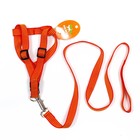 Шлейка с поводком, ширина 2 см, поводок 120 см, рельефная, оранжевая - Фото 7