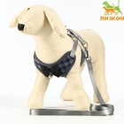 Комплект амуниции с мягкой шлейкой, L, поводок 120×1.5 см, ОШ 30-50 см, ОГ 36-56 см, серый - Фото 2