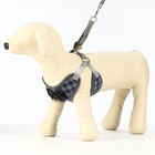 Комплект амуниции с мягкой шлейкой, L, поводок 120×1.5 см, ОШ 30-50 см, ОГ 36-56 см, серый - Фото 3