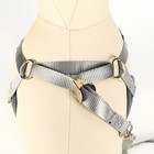 Комплект амуниции с мягкой шлейкой, L, поводок 120×1.5 см, ОШ 30-50 см, ОГ 36-56 см, серый - Фото 6