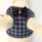 Комплект амуниции с мягкой шлейкой, L, поводок 120×1.5 см, ОШ 30-50 см, ОГ 36-56 см, серый - Фото 7