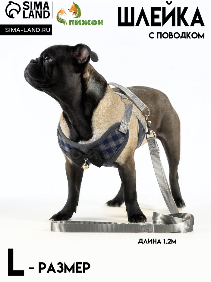 Комплект амуниции с мягкой шлейкой, L, поводок 120×1.5 см, ОШ 30-50 см, ОГ 36-56 см, серый - Фото 1