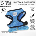 Шлейка дышащая с поводком и светоотражающей нашивкой, M, ОШ 33, ОГ 32-43, синяя - Фото 1
