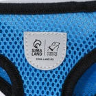 Шлейка дышащая с поводком и светоотражающей нашивкой, M, ОШ 33, ОГ 32-43, синяя - Фото 6