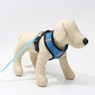 Шлейка дышащая с поводком и светоотражающей нашивкой, M, ОШ 33, ОГ 32-43, синяя - Фото 3