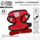 Шлейка дышащая с поводком и светоотражающей нашивкой, M, ОШ 33, ОГ 32-43, красная - Фото 1