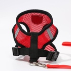 Шлейка дышащая с поводком и светоотражающей нашивкой, M, ОШ 33, ОГ 32-43, красная - Фото 4