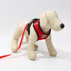 Шлейка дышащая с поводком и светоотражающей нашивкой, M, ОШ 33, ОГ 32-43, красная - Фото 6