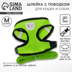 Шлейка дышащая с поводком и светоотражающей нашивкой, M, ОШ 33, ОГ 32-43, зеленая - Фото 1