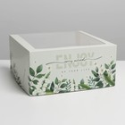 Коробка для торта с окном «Mint» 23 х 23 х 11 см - фото 9524993